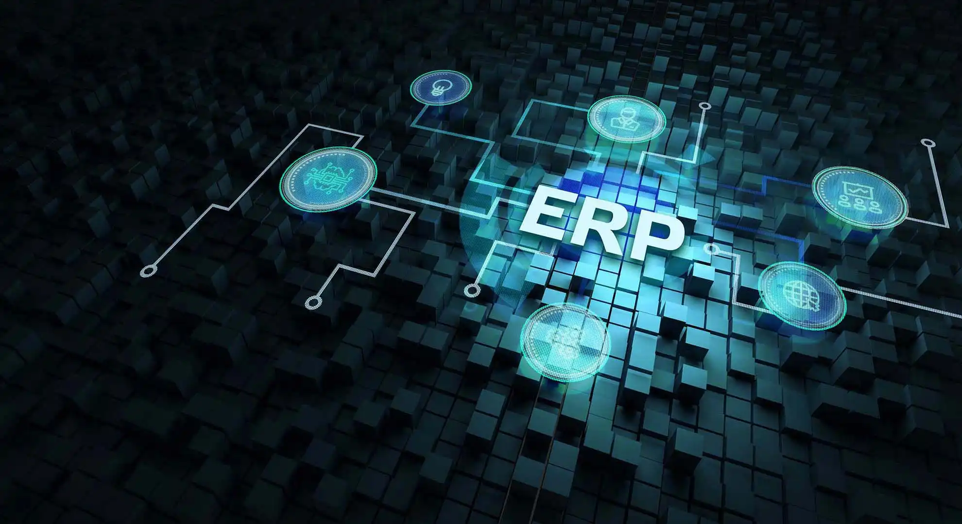 ERP-Anbindung